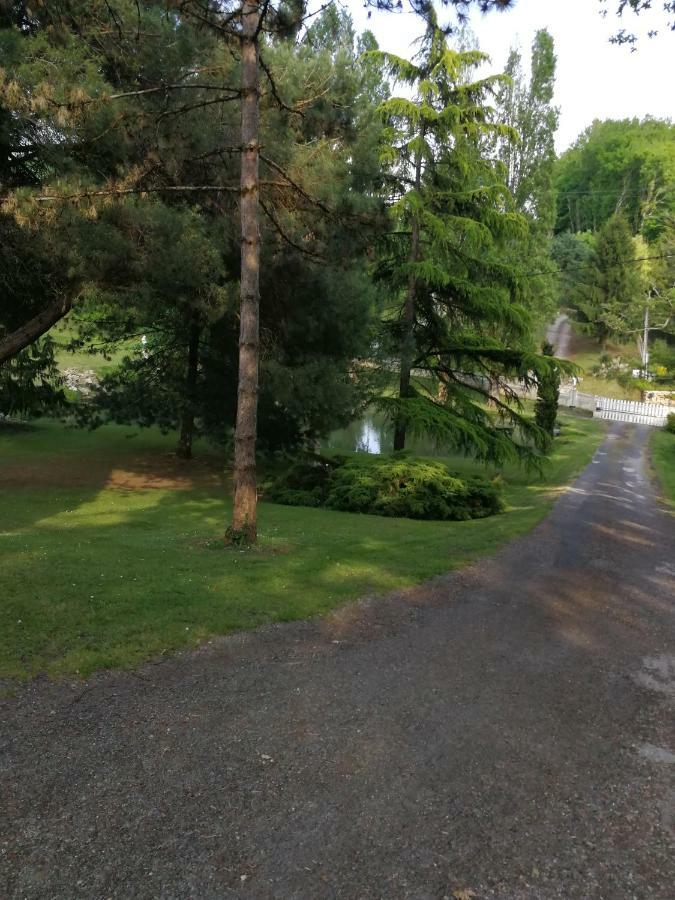 Отель Le Jardin D Eau Lamothe-Montravel Экстерьер фото