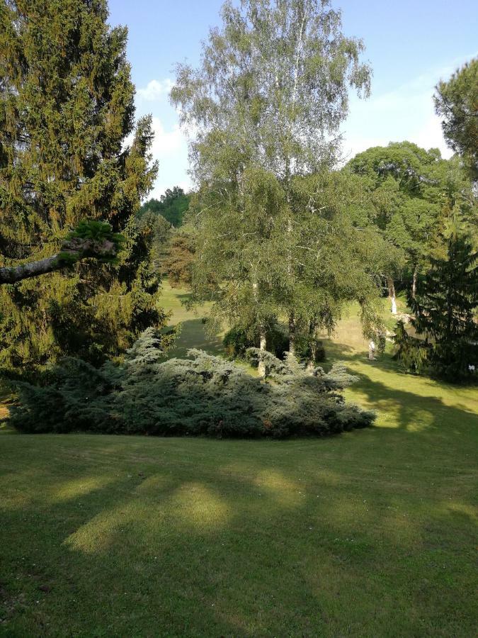 Отель Le Jardin D Eau Lamothe-Montravel Экстерьер фото